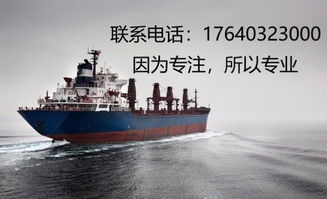 天津進口食品報關代理與進出口報關公司的專業服務